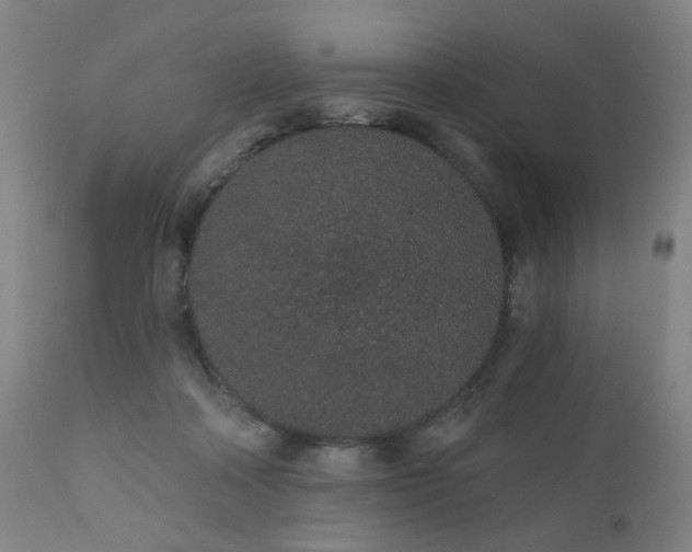 X0000110960314200906191318