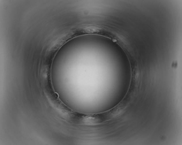 X0000110960315200906191318