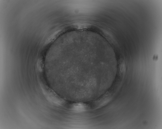 X0000110960316200906191318