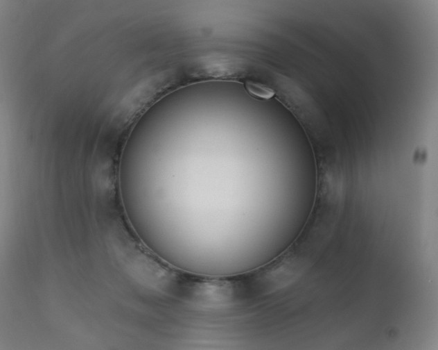 X0000110960317200906191318