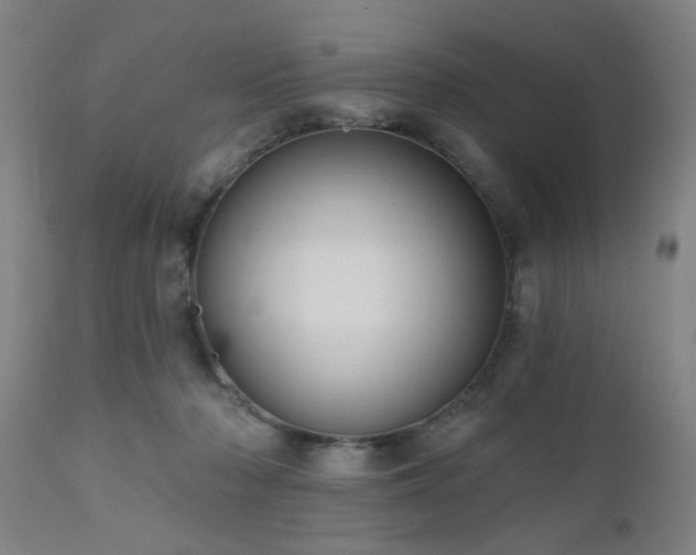 X0000110960318200906191318