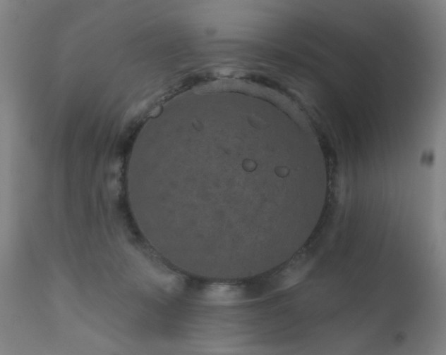 X0000110960319200906191318