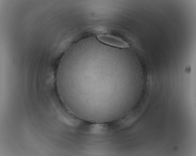 X0000110960320200906191318