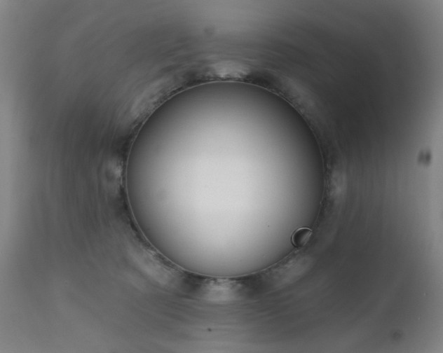X0000110960321200906191318