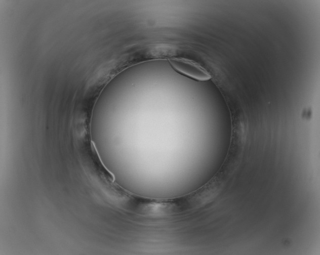 X0000110960323200906191318