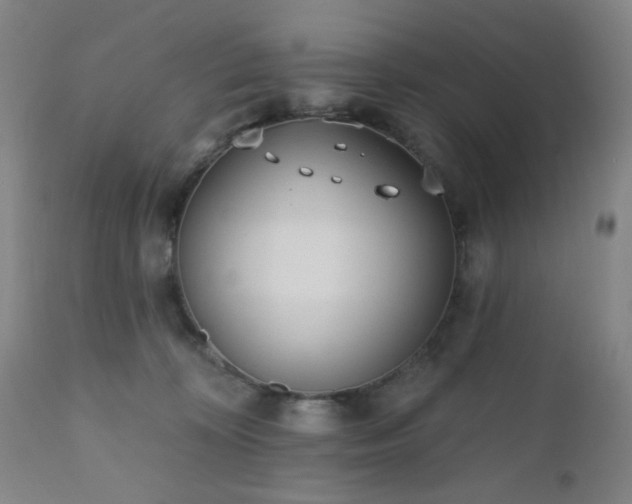 X0000110960324200906191318