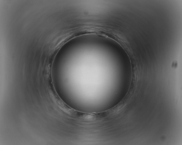 X0000110960325200906191318