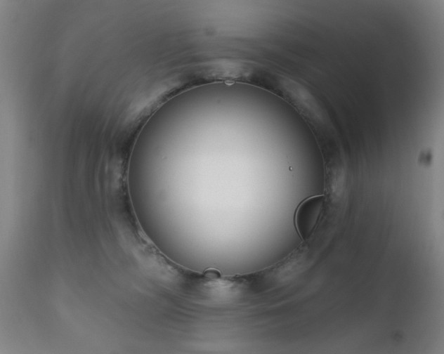 X0000110960326200906191318