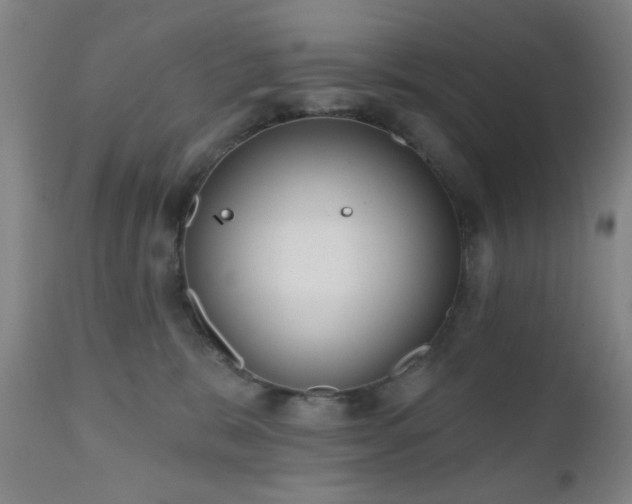 X0000110960327200906191318