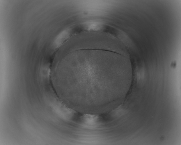 X0000110960328200906191318