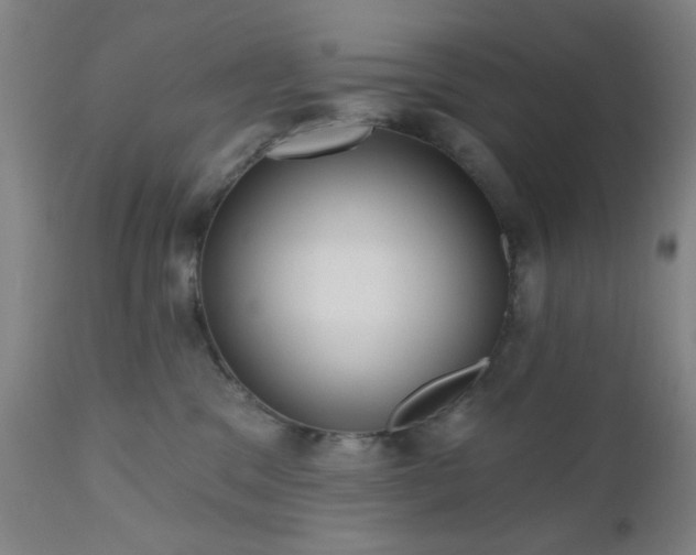 X0000110960329200906191318