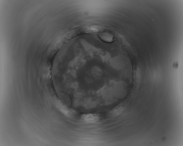 X0000110960331200906191318