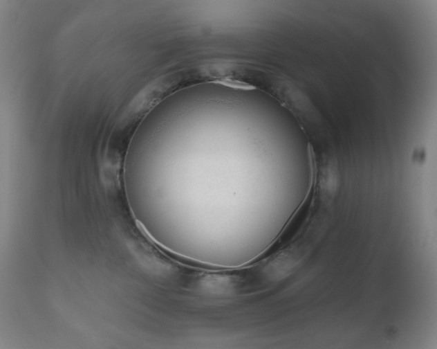 X0000110960332200906191318