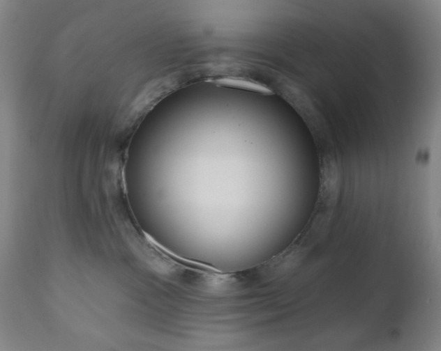 X0000110960333200906191318