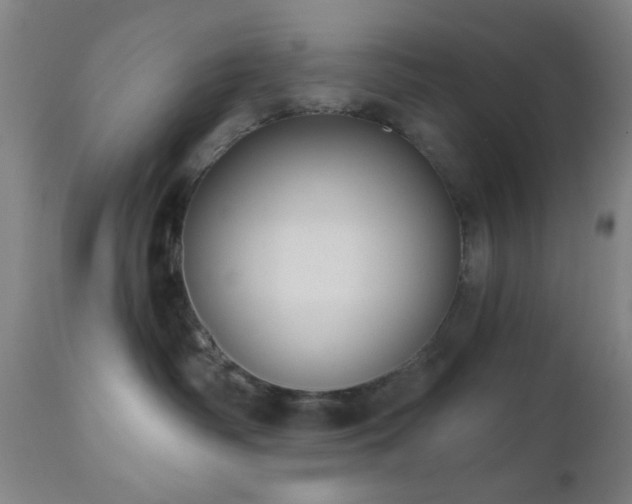 X0000110960334200906191318