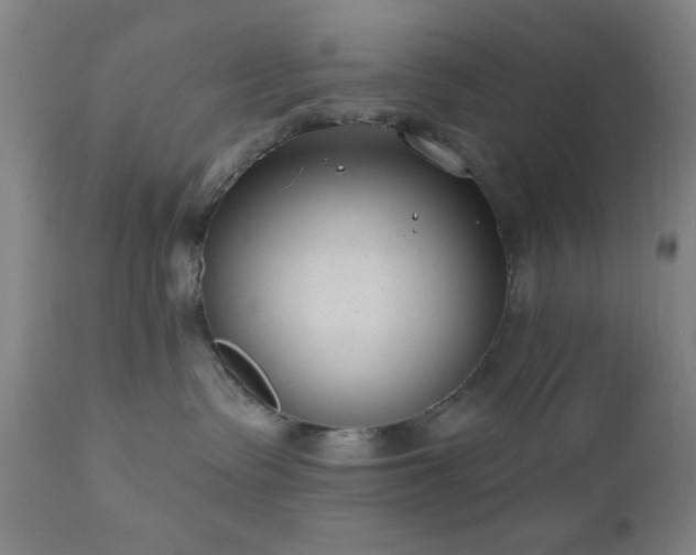 X0000110960335200906191318