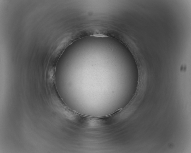 X0000110960336200906191318