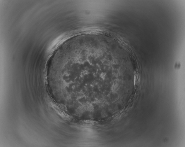 X0000110960339200906191317