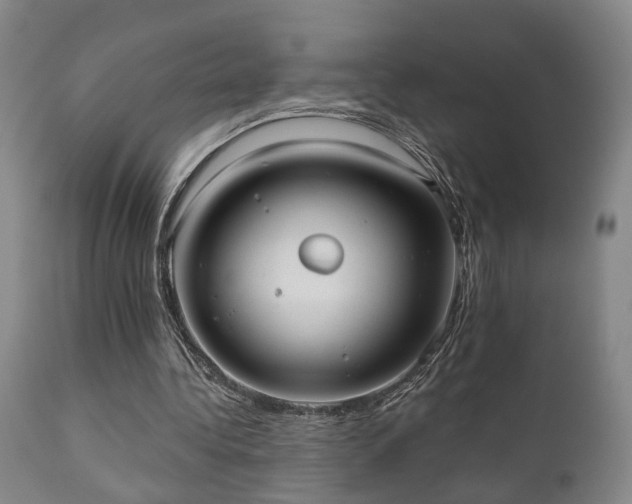X0000110960340200906191317