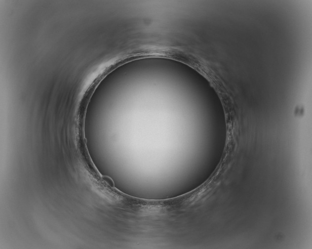 X0000110960342200906191318