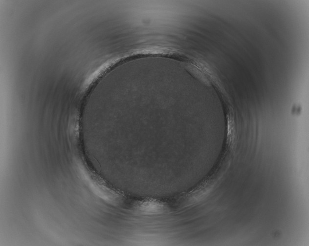 X0000110960348200906191318