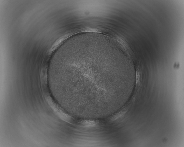 X0000110960349200906191318