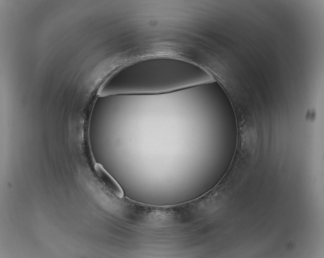 X0000110960350200906191318