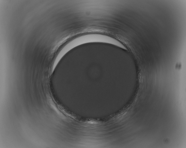 X0000110960352200906191318