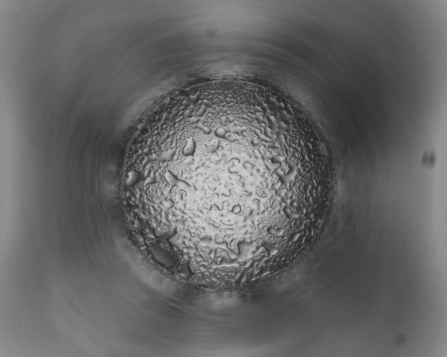 X0000110960353200906191318