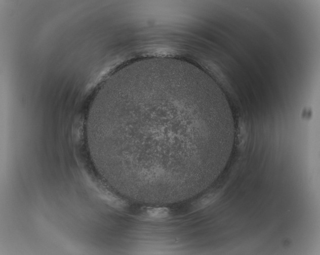 X0000110960355200906191318