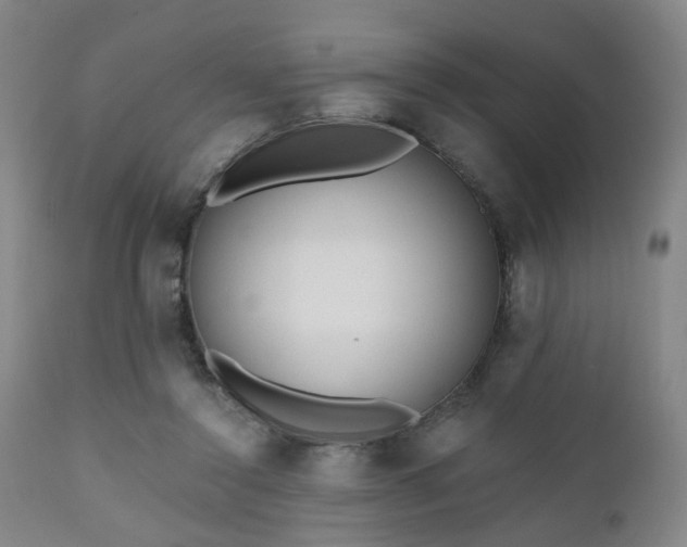 X0000110960356200906191318