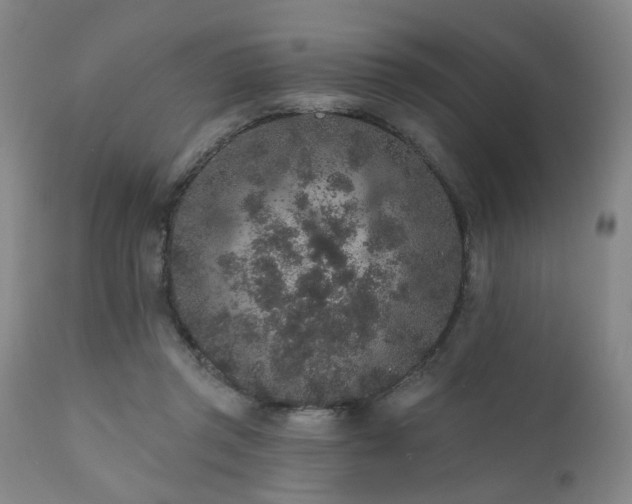 X0000110960357200906191318