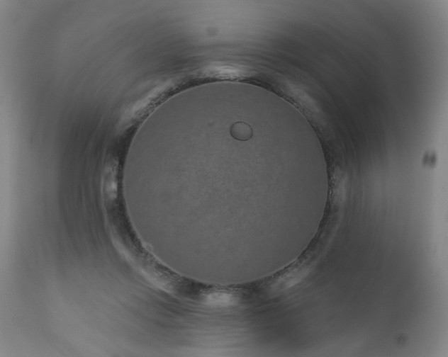 X0000110960358200906191318