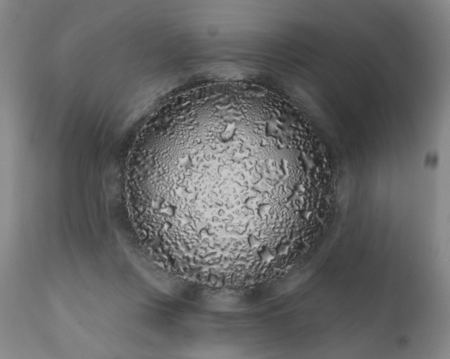 X0000110960359200906191318