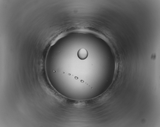 X0000110960362200906191318