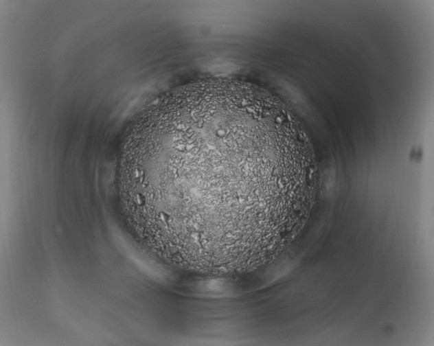 X0000110960365200906191318