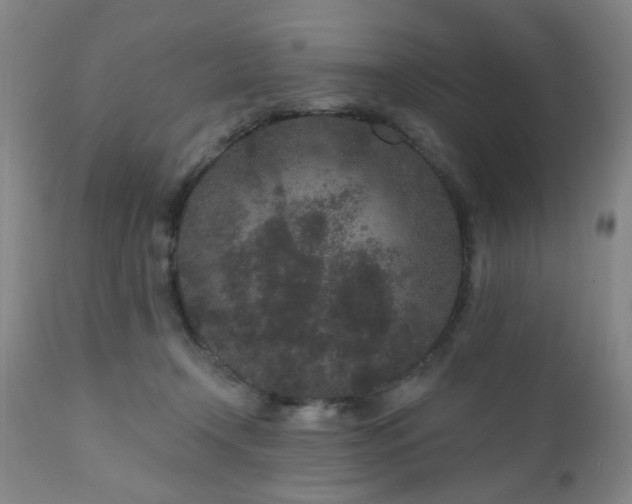 X0000110960366200906191318