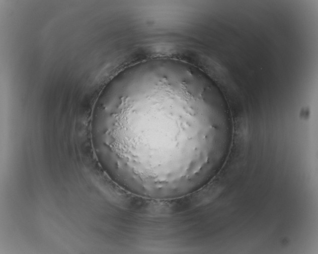 X0000110960369200906191318