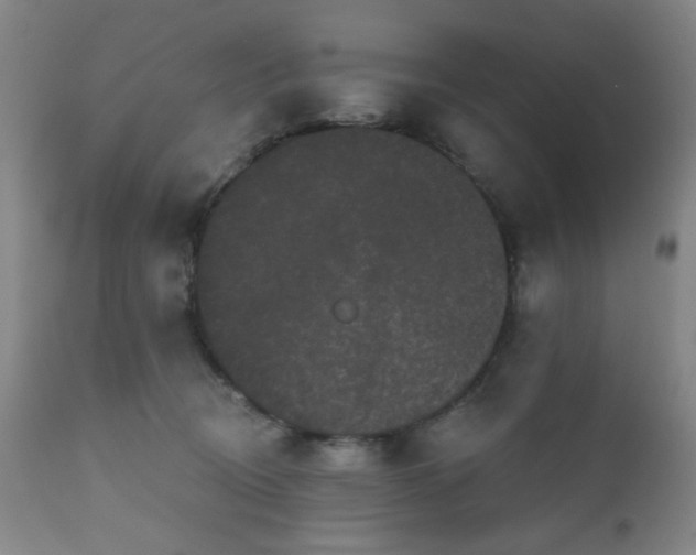 X0000110960370200906191318
