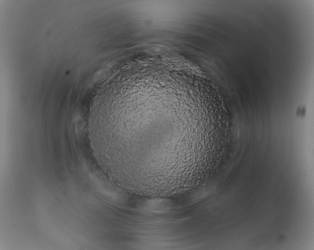 X0000110960371200906191318