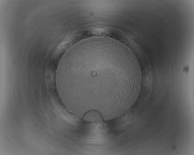 X0000110960375200906191318
