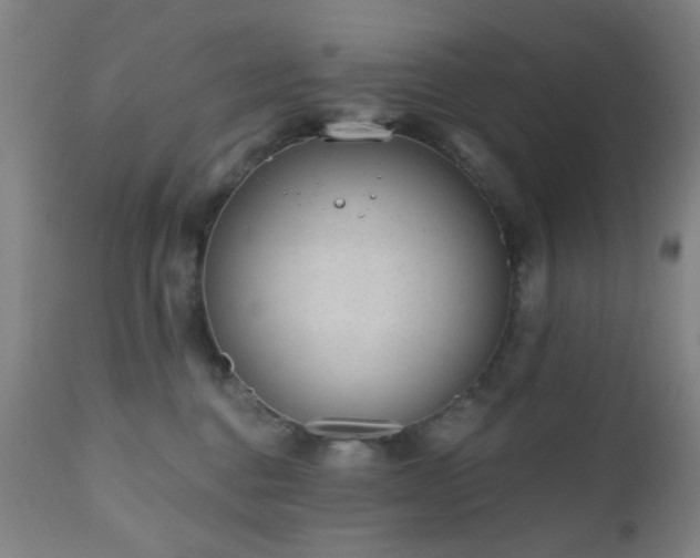 X0000110960376200906191318