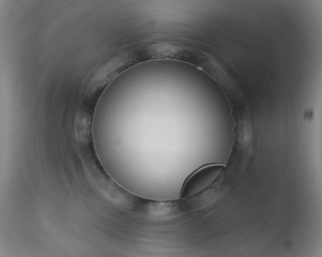 X0000110960378200906191318
