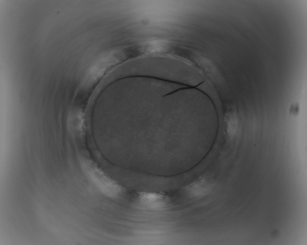X0000110960380200906191318