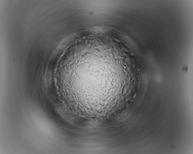 X0000110960381200906191318