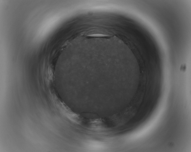 X0000110960382200906191318