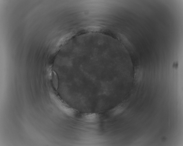 X0000110960383200906191318