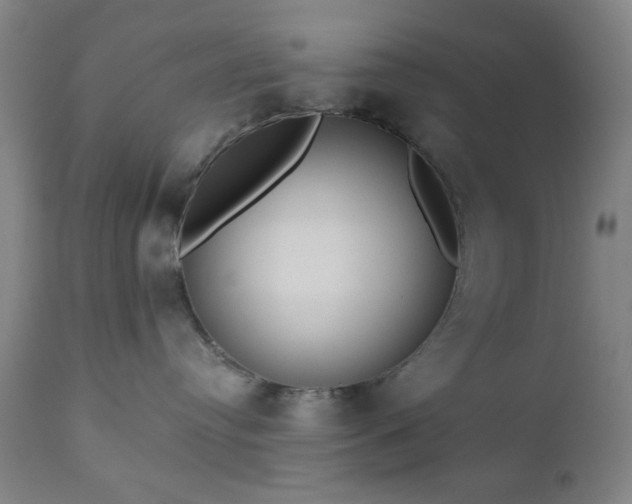 X0000110960384200906191318