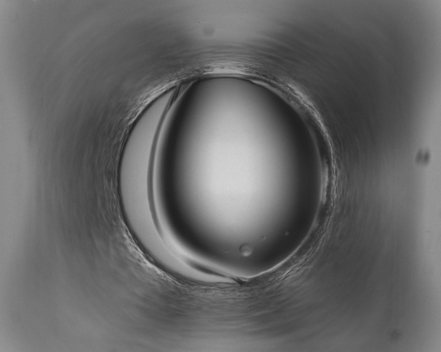 X0000110960385200906191317