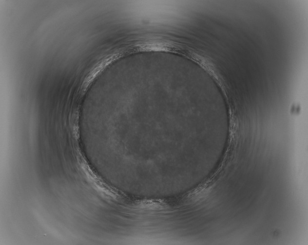 X0000110960386200906191317